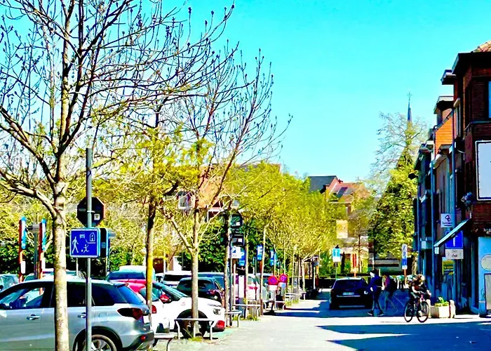 The Nest In -cosy Near Brussels * لوفين